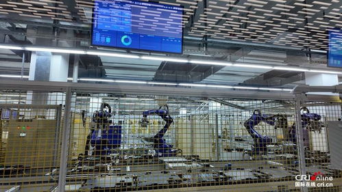 青春華章 走進(jìn)天津天開(kāi)園，感受新質(zhì)潮涌中的攝影擴(kuò)印服務(wù)